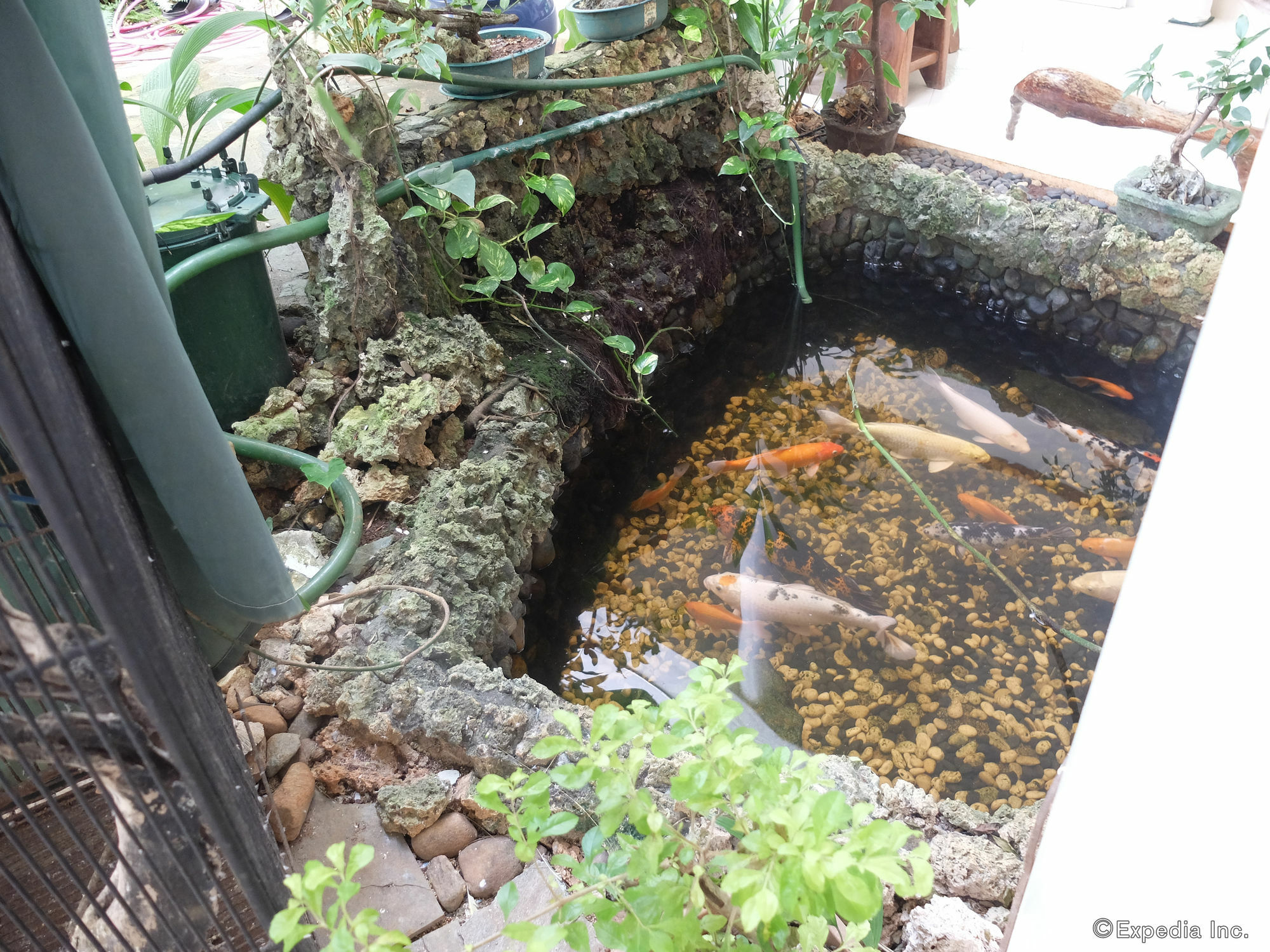 Yapak Argonauta Apartment Suites מראה חיצוני תמונה