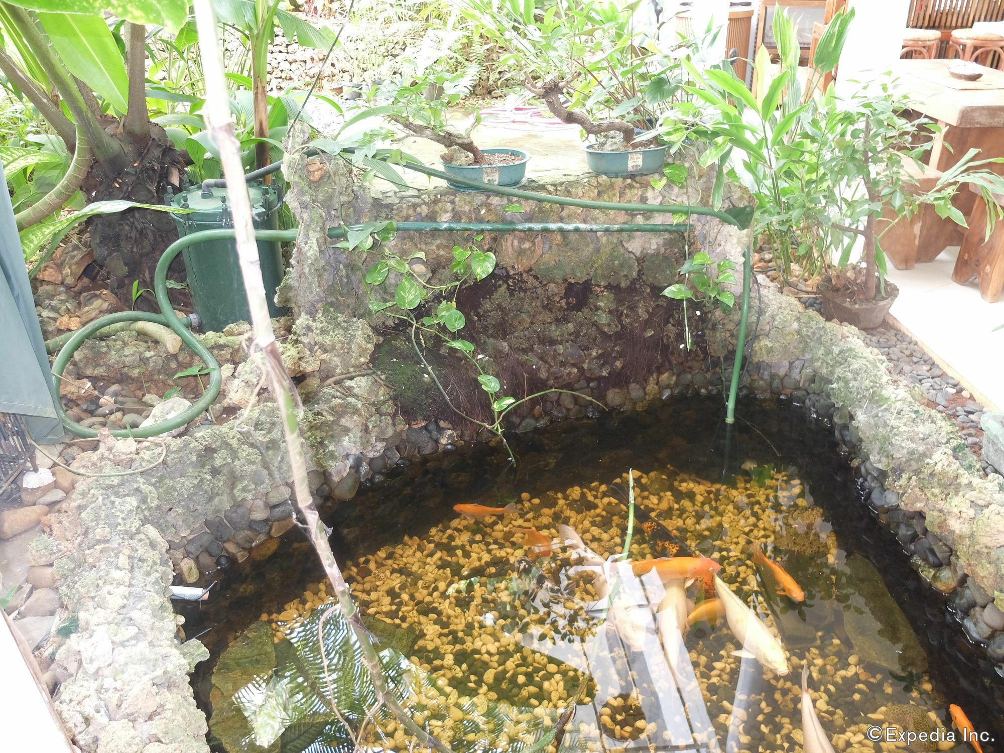 Yapak Argonauta Apartment Suites מראה חיצוני תמונה
